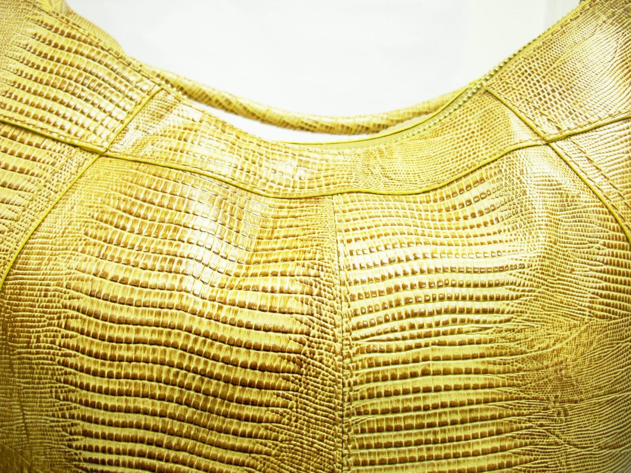 Tan Sofia Hobo Bag