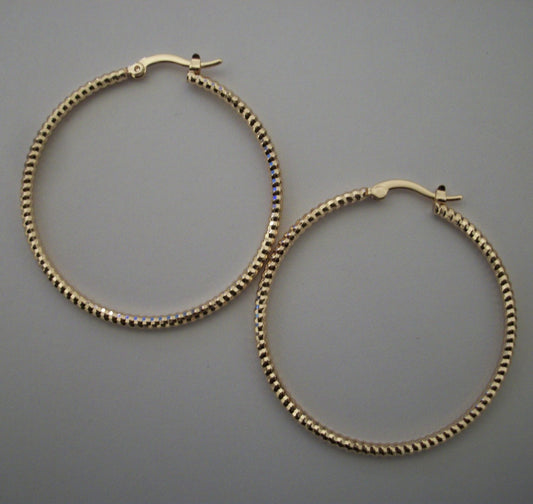 Gold Daria Hoops